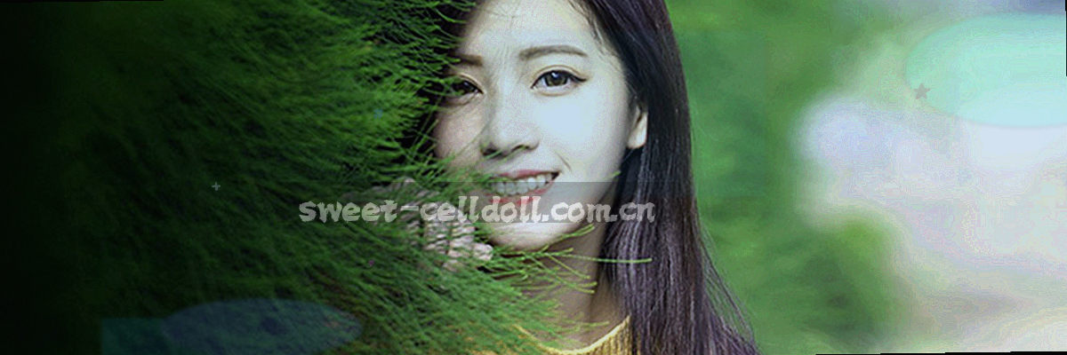 柔和网格与色带交织，标注条目数
